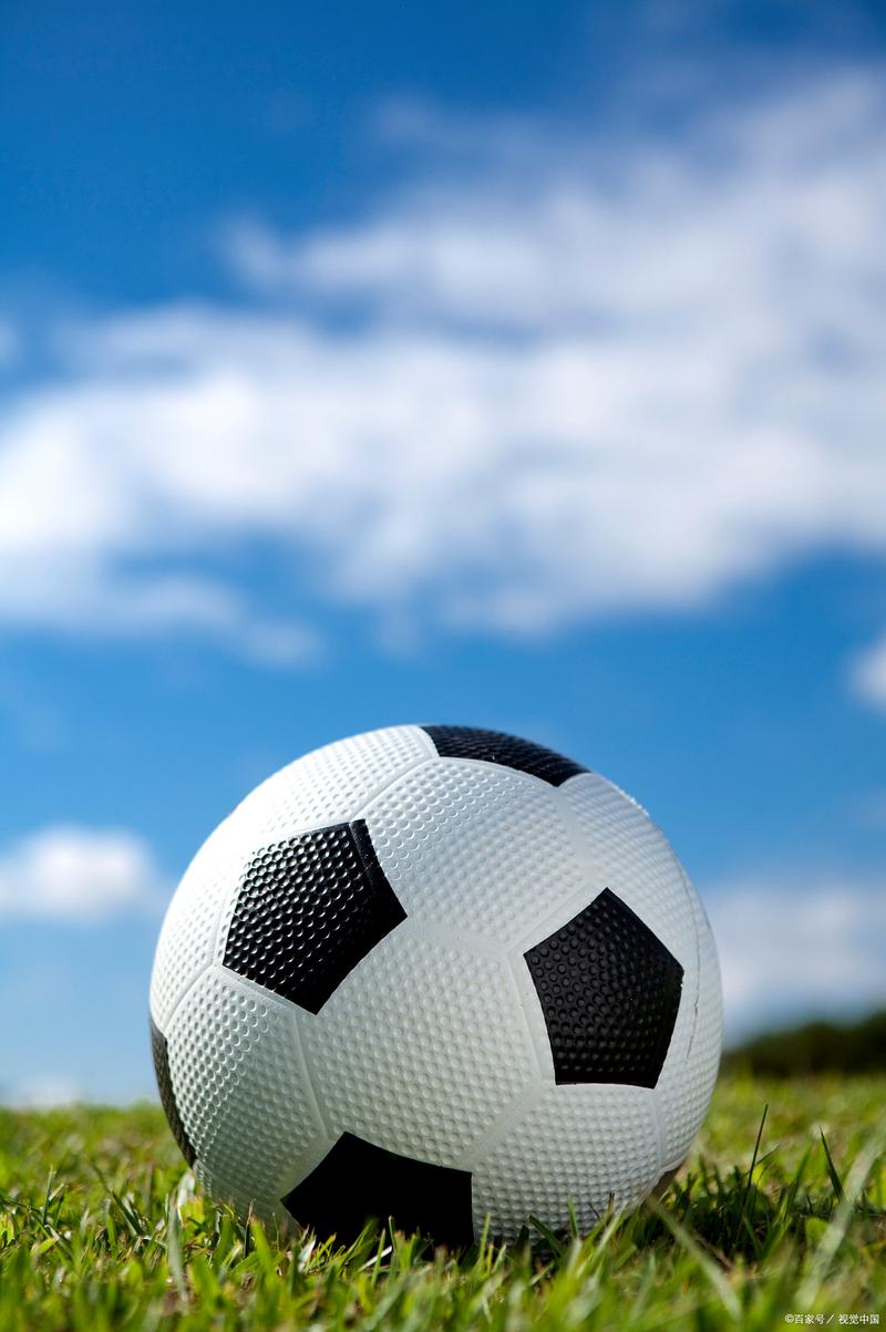 站群服务器多ip怎么使用